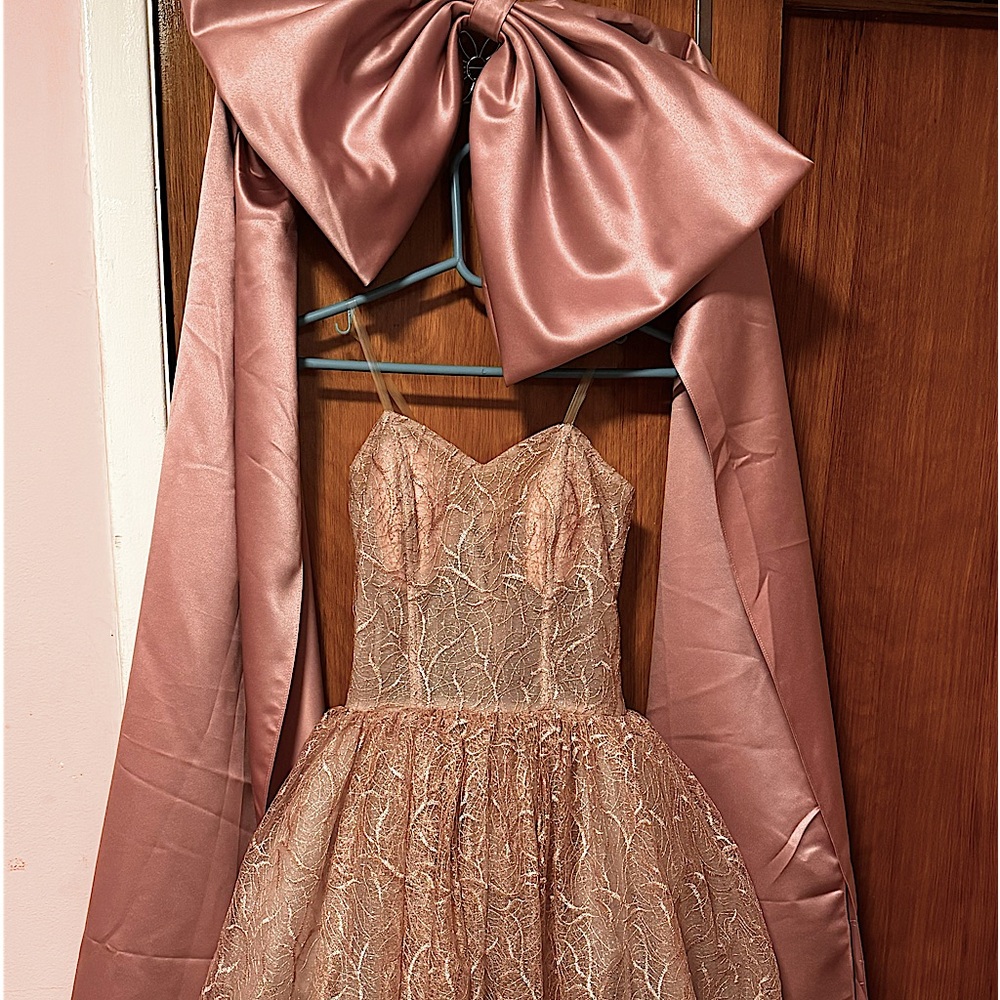 pink ball gown from eygpt bridal shop. never worn. excellent condition.
